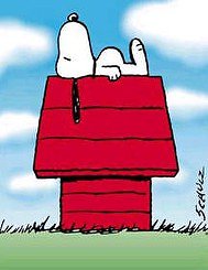 Alexander technique every day. Snoopy on kennel